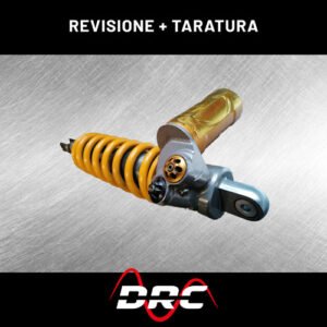 REVISIONE + TARATURA